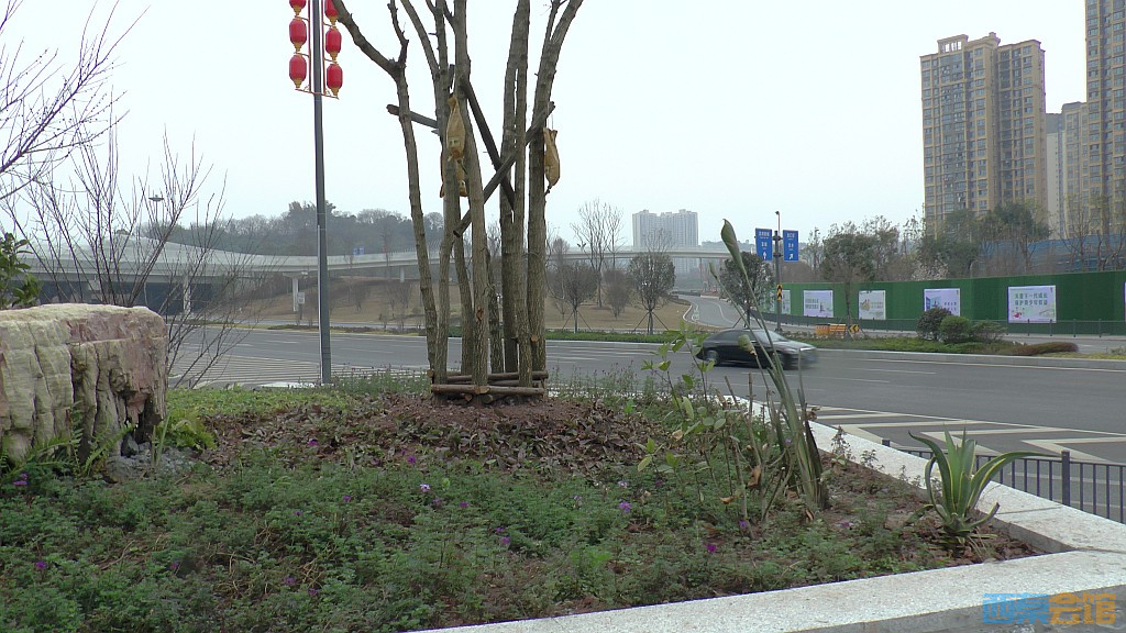 conew_s1570374.jpg
