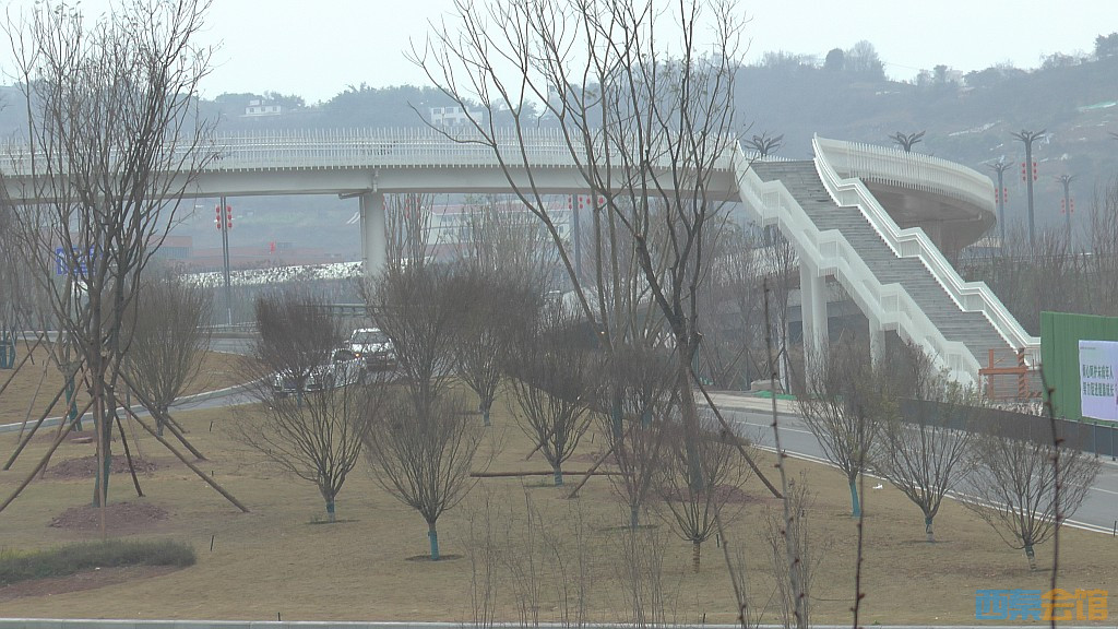 conew_s1570375.jpg