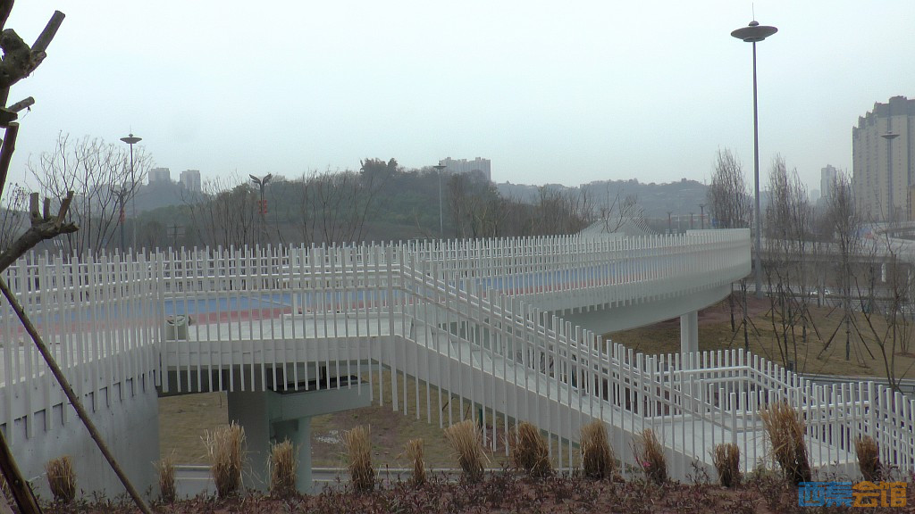 conew_s1570386.jpg