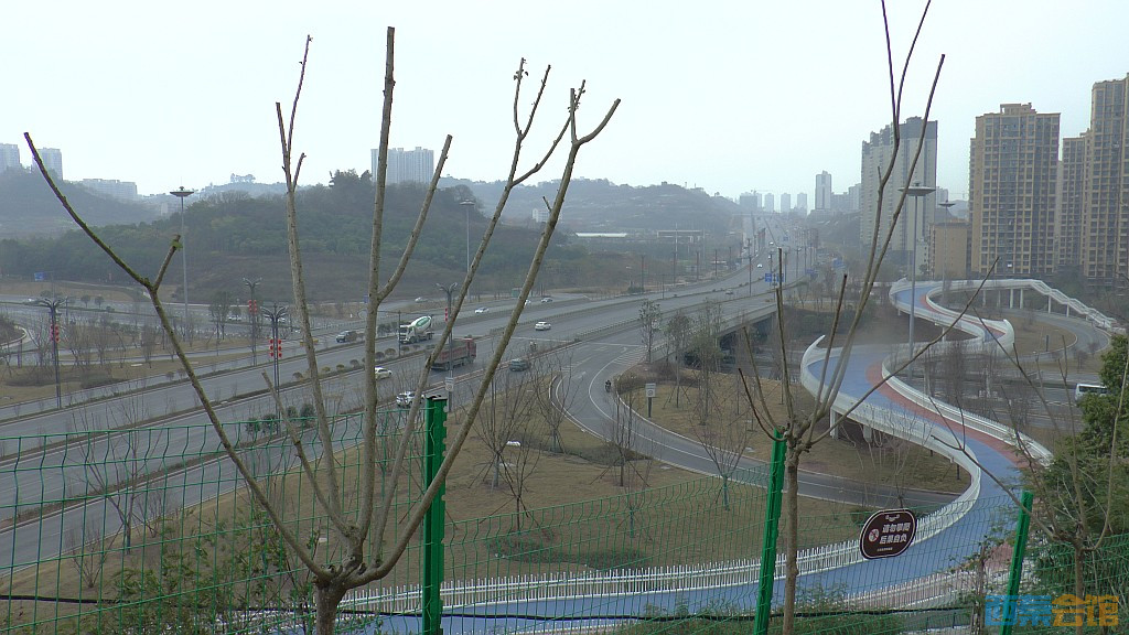 conew_s1570394.jpg