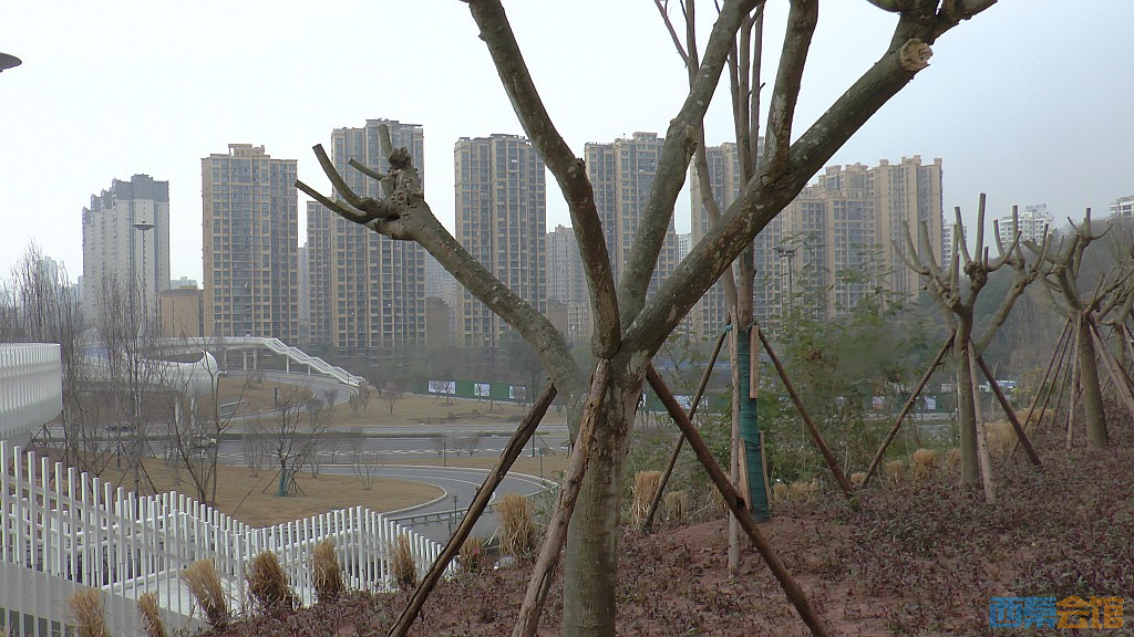 conew_s1570387.jpg