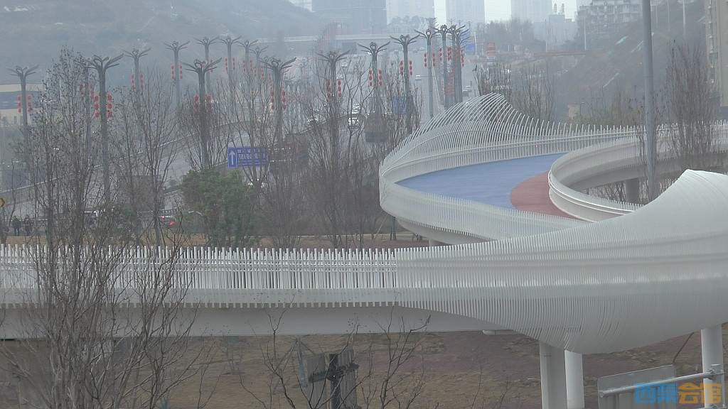 conew_s1570389.jpg