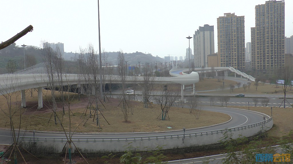 conew_s1570388.jpg