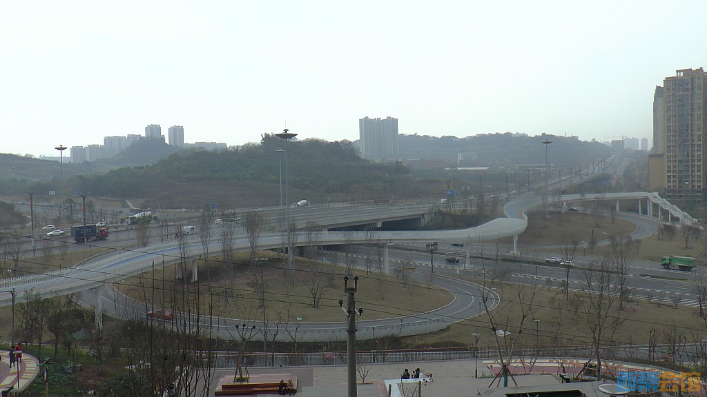 conew_s1570408.jpg