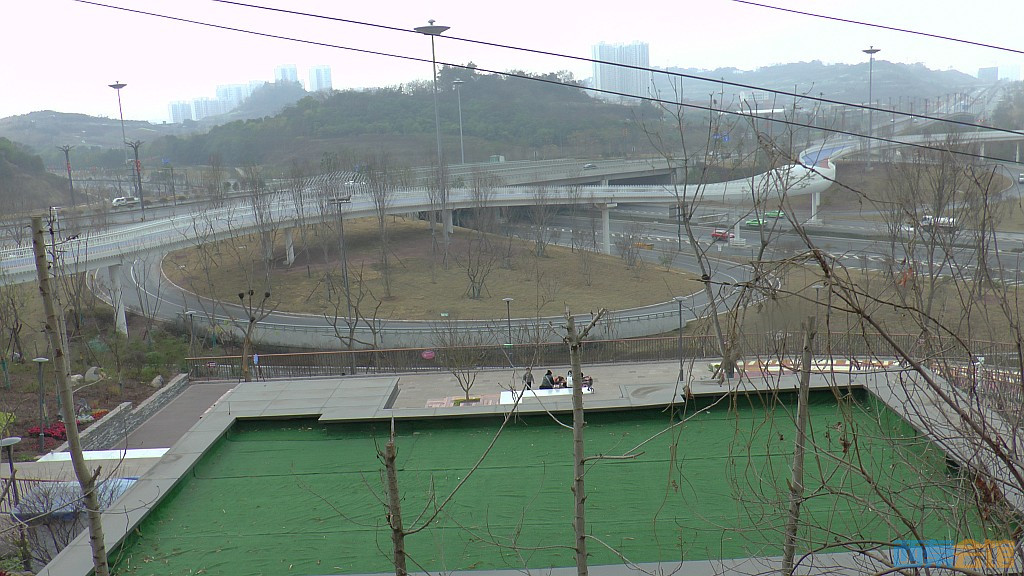 conew_s1570411.jpg
