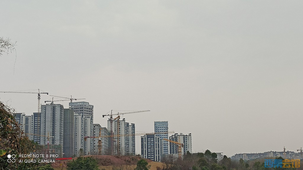 conew_1676805336811.jpg