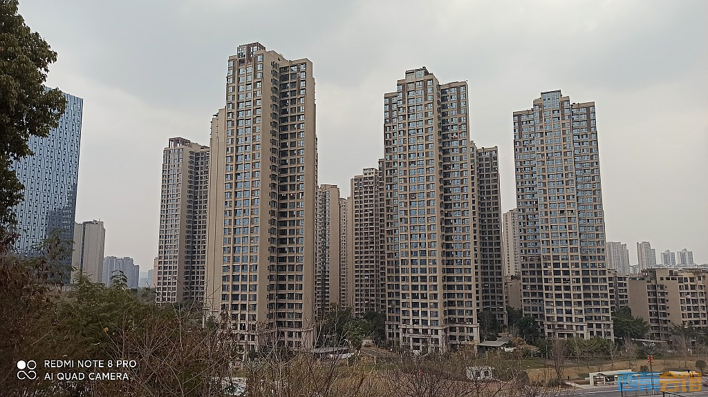 conew_1676805337019.jpg