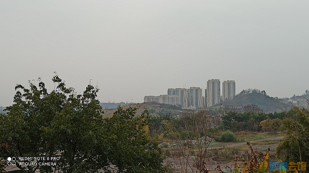 conew_1676805336852.jpg