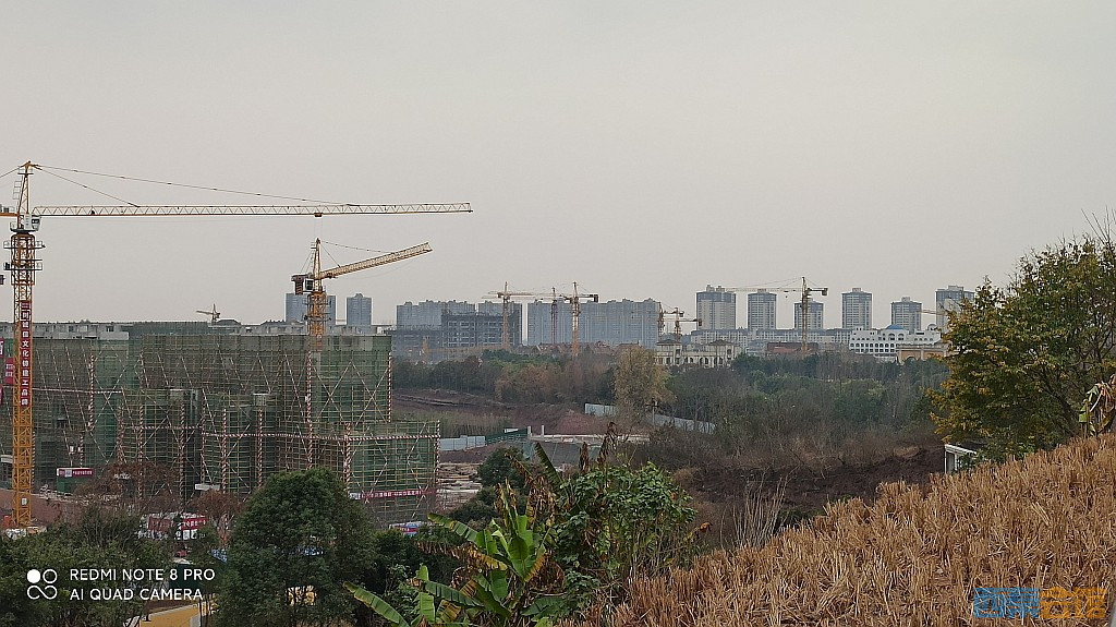 conew_1676805336993.jpg