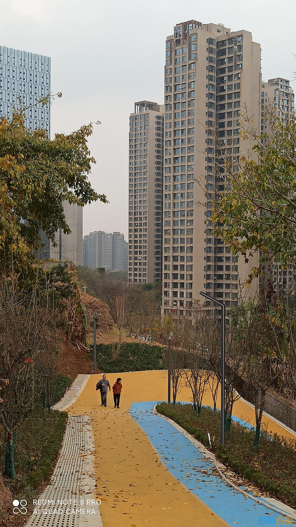 conew_1676805336658.jpg