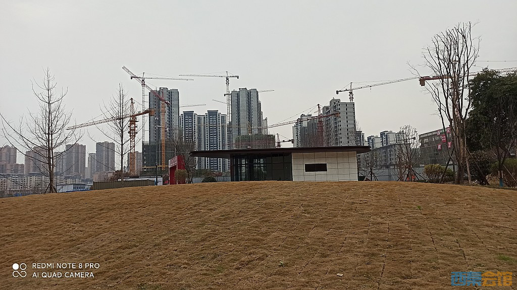 conew_1676805336620.jpg