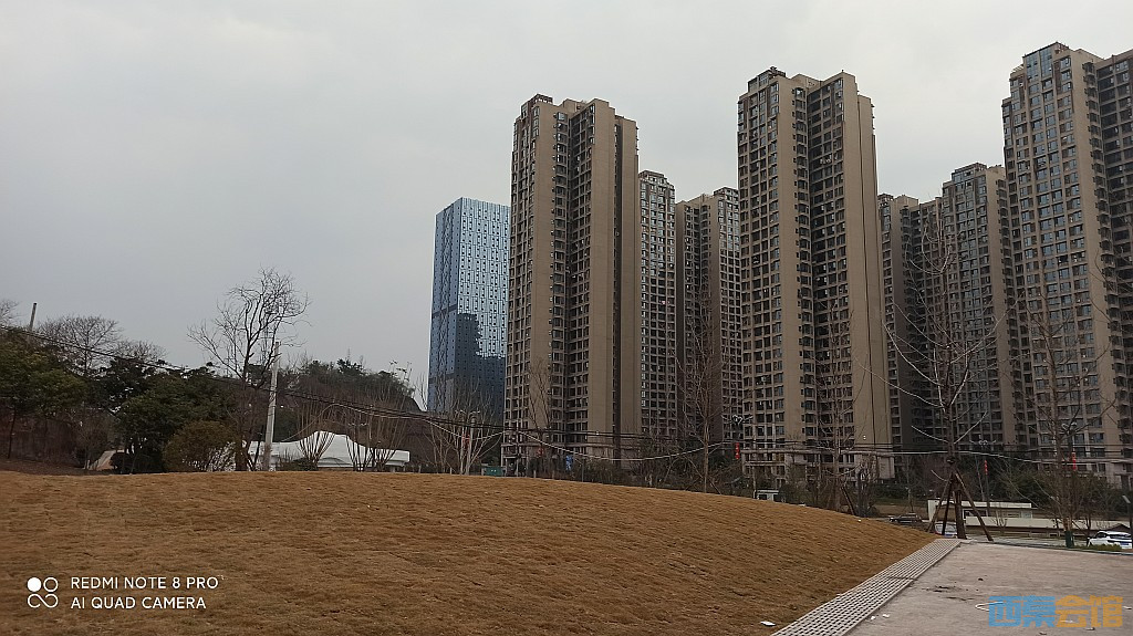 conew_1676805336584.jpg