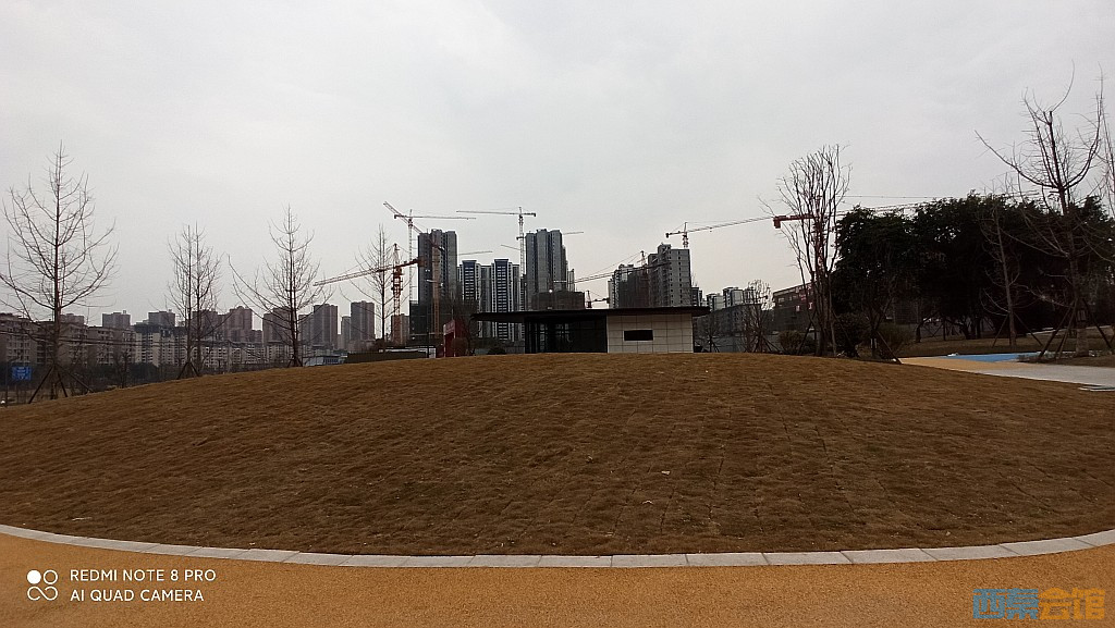 conew_1676805336629.jpg
