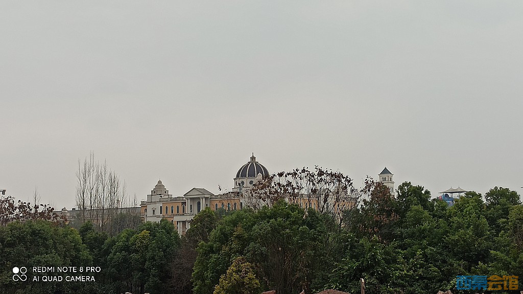 conew_1676805336798.jpg