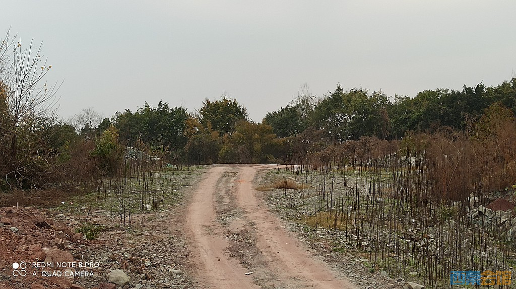conew_1676805336770.jpg