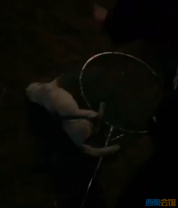 72.png