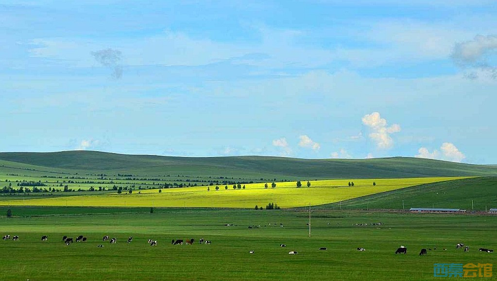 95.jpg