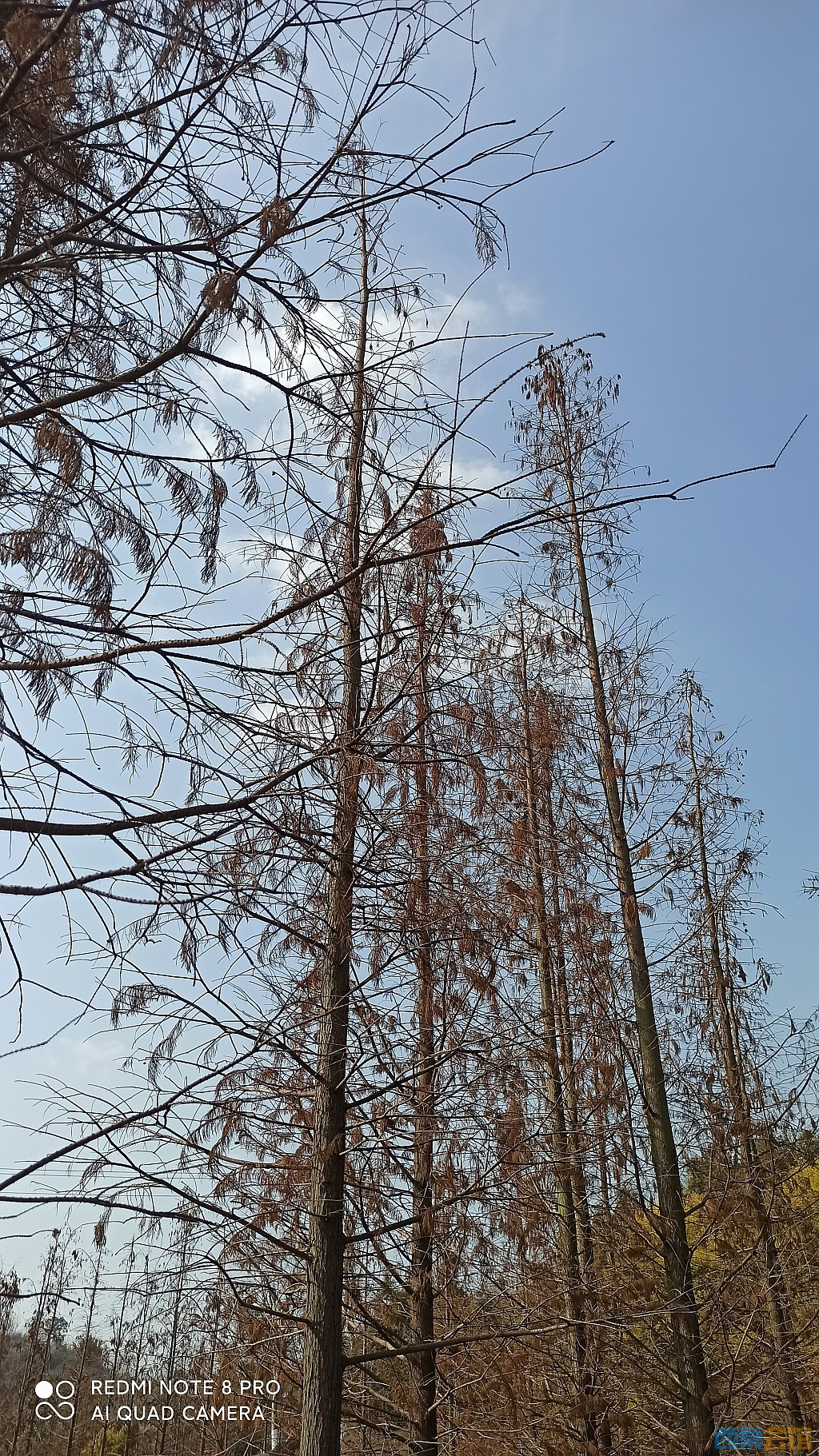 conew_1677323129269.jpg