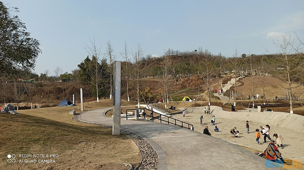conew_1677323129190.jpg
