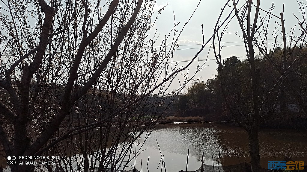 conew_1677323129180.jpg