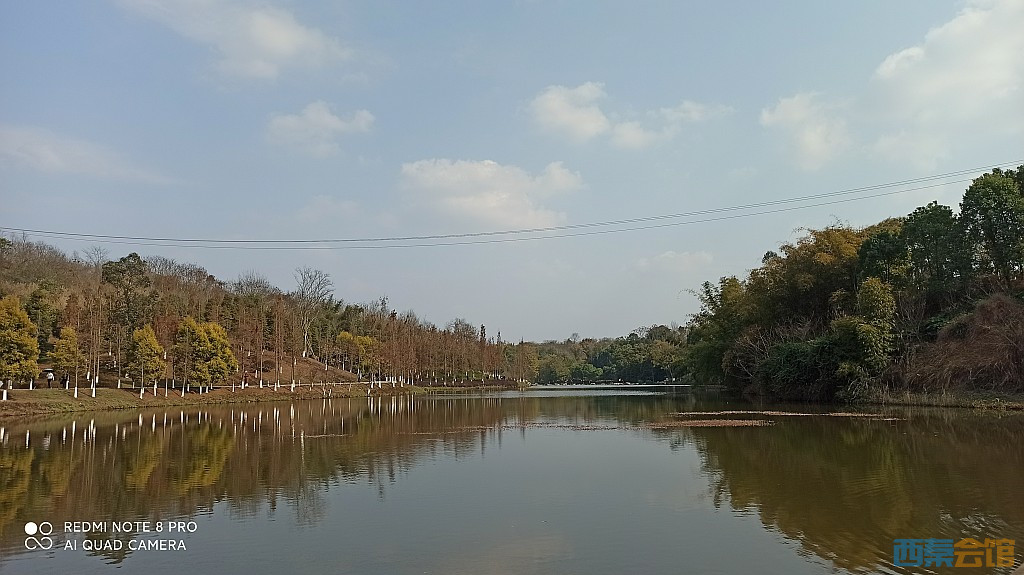 conew_1677323129260.jpg