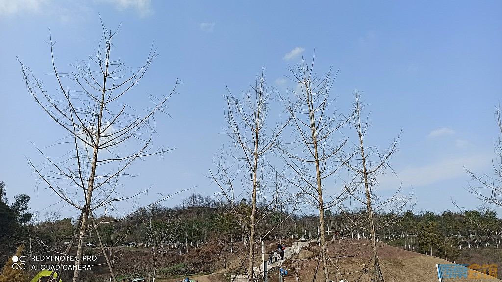 conew_1677323129228.jpg