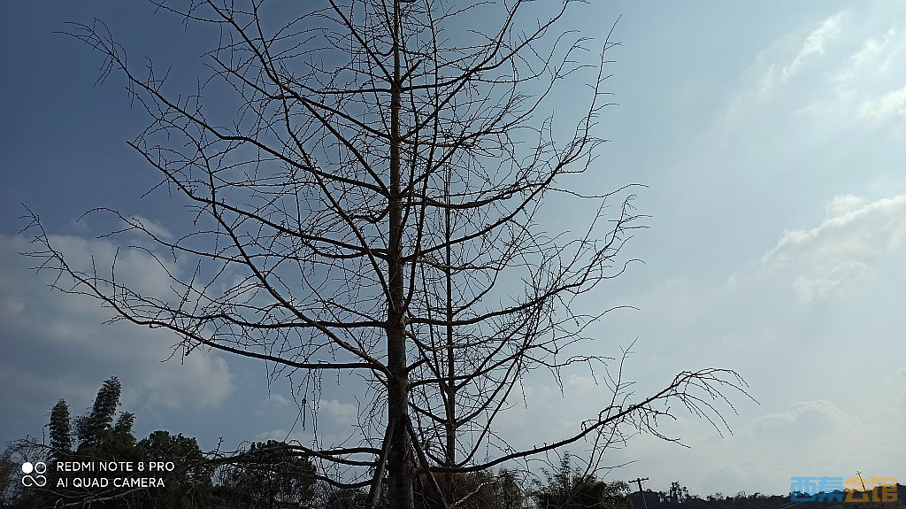 conew_1677323129237.jpg