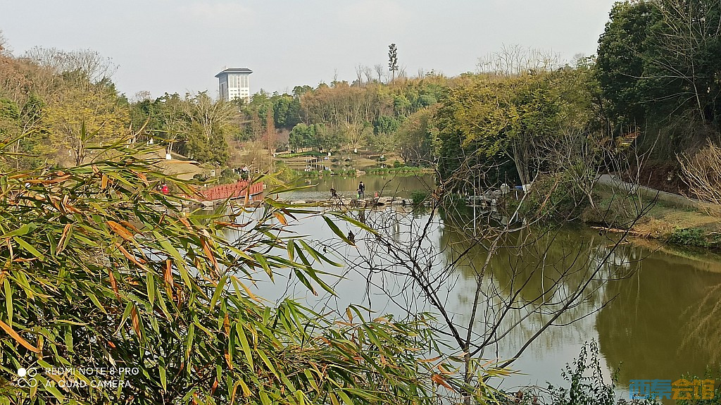conew_1677323129133.jpg