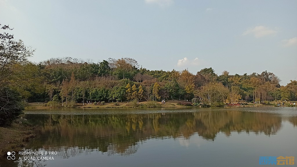 conew_1677323128980.jpg