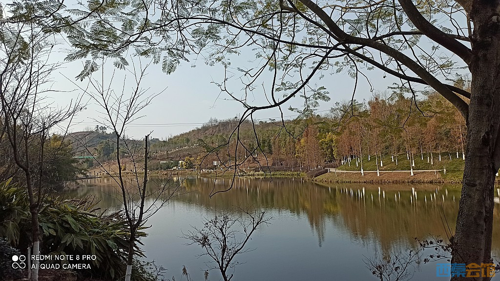 conew_1677323129052.jpg