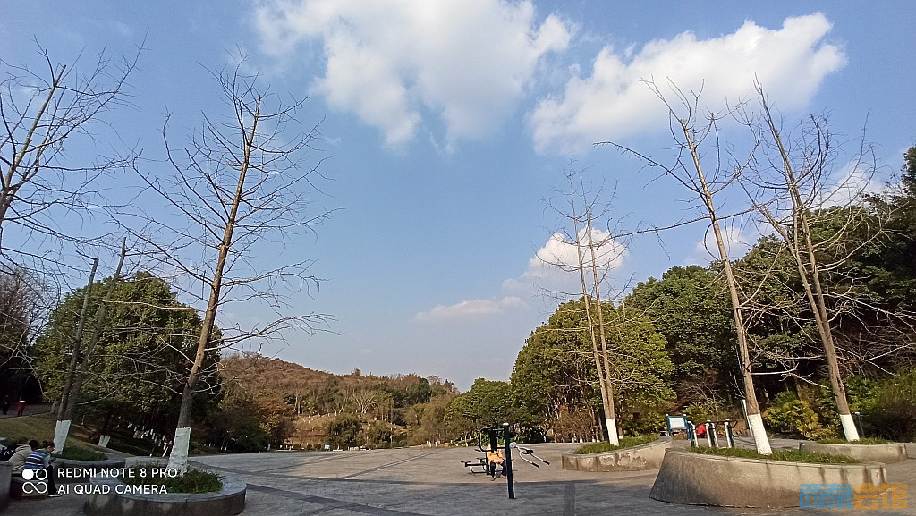 conew_1677323129003.jpg