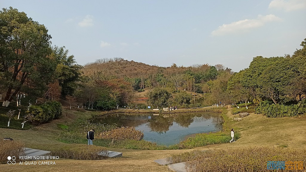 conew_1677323129015.jpg