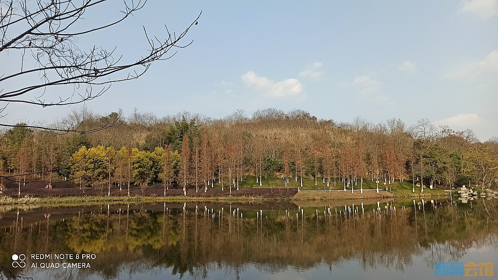conew_1677323129093.jpg