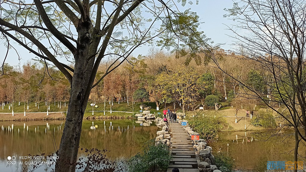 conew_1677323129073.jpg