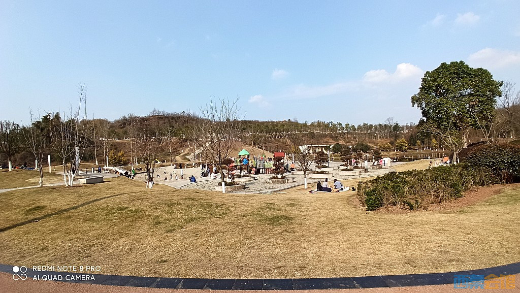conew_1677323129162.jpg