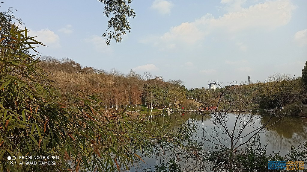 conew_1677323129114.jpg