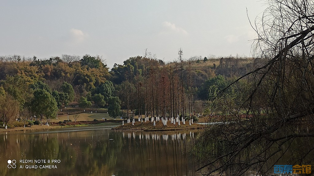 conew_1677323128961.jpg