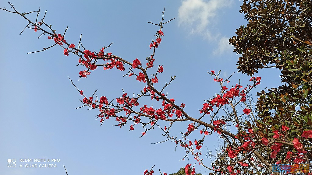 conew_1677323128811.jpg