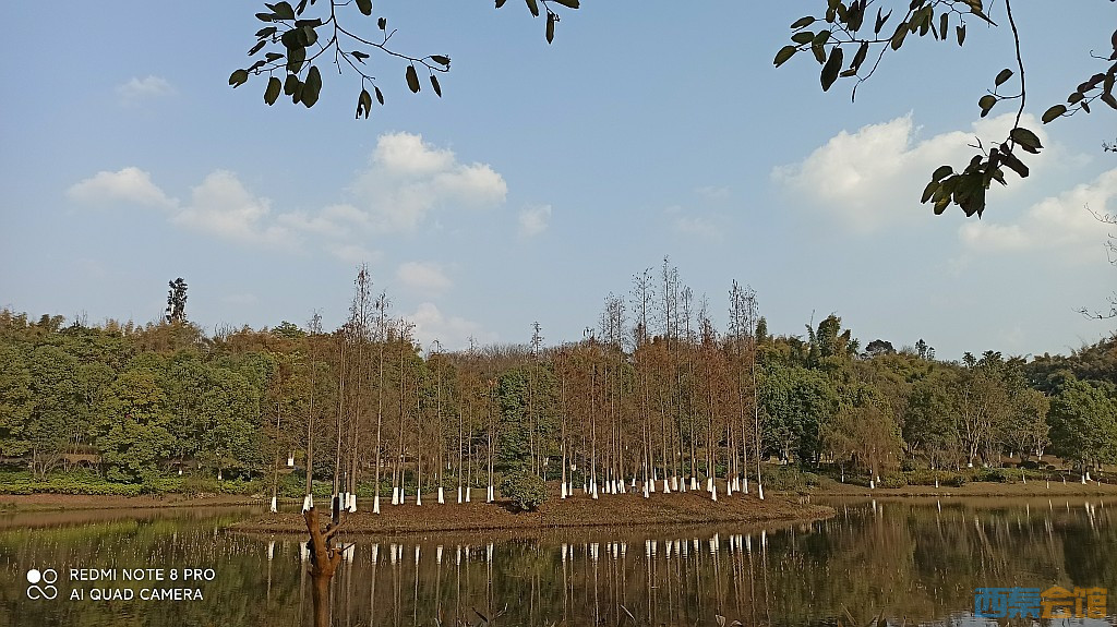 conew_1677323128915.jpg