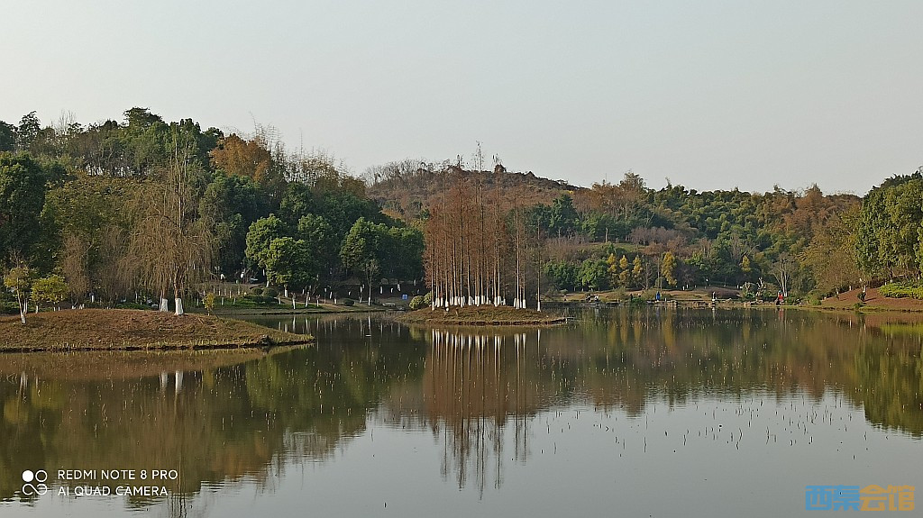 conew_1677323128897.jpg