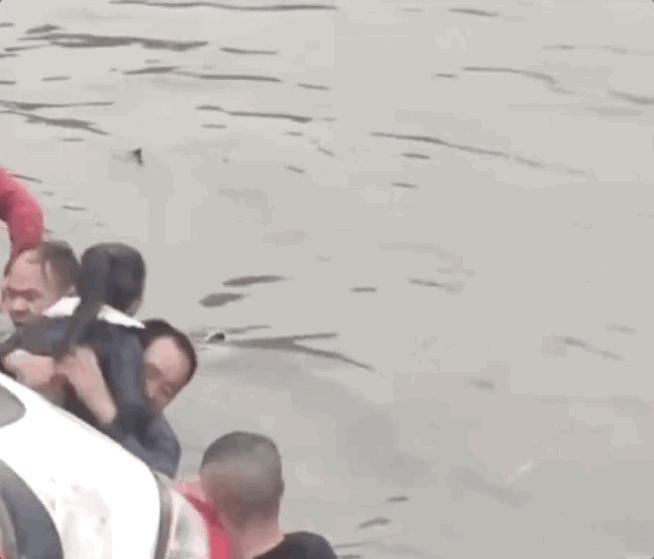 4.gif