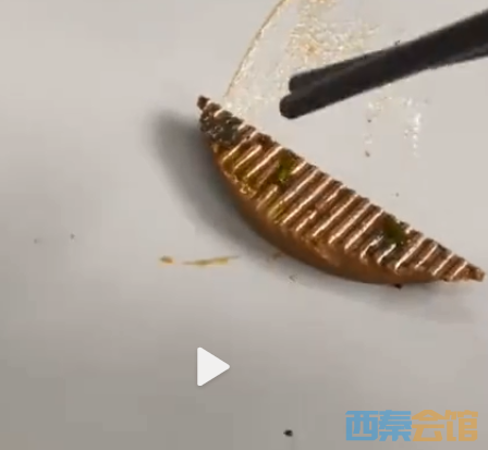 6.png
