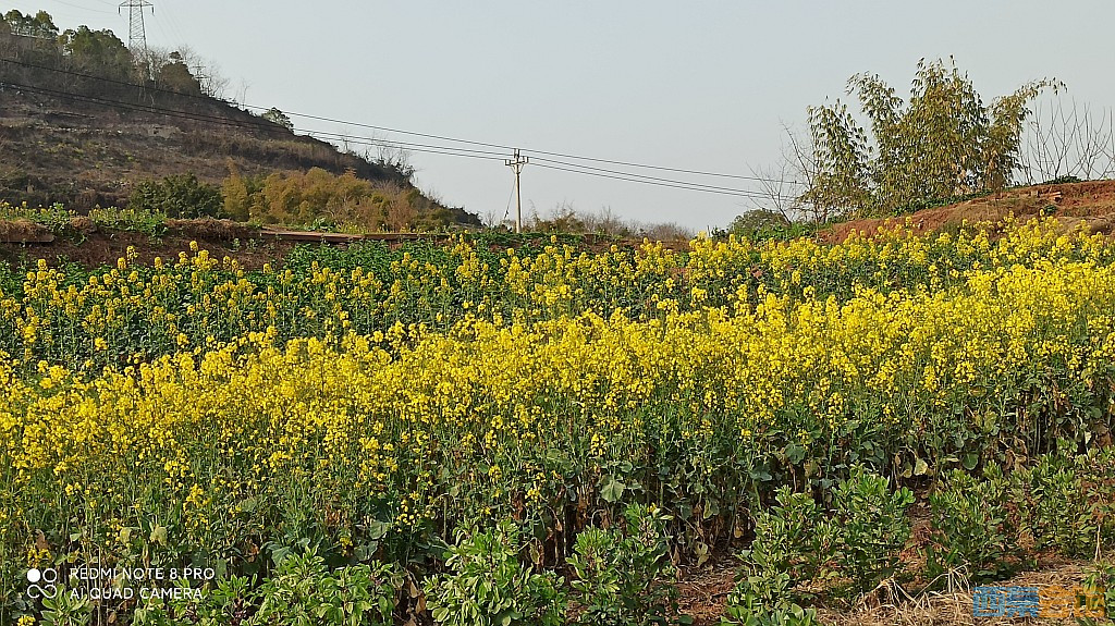 conew_1677417257653.jpg