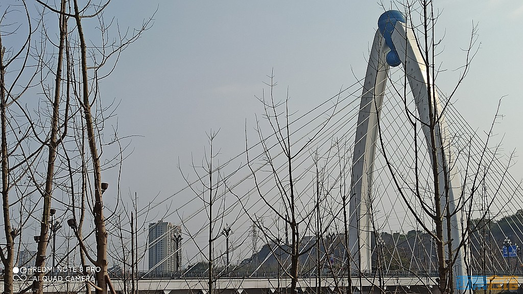 conew_1677417258246.jpg