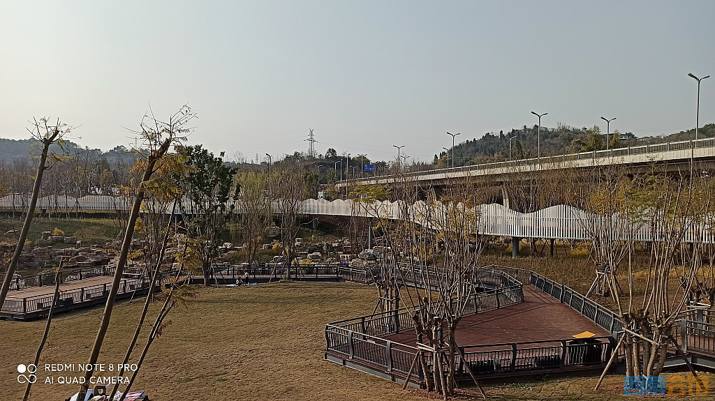 conew_1677417258219.jpg