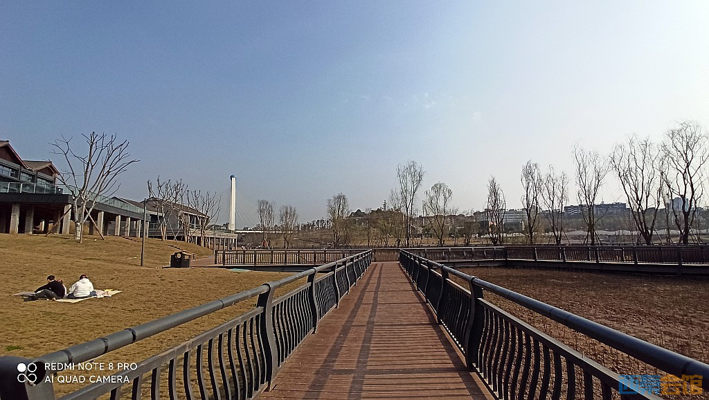 conew_1677417258131.jpg