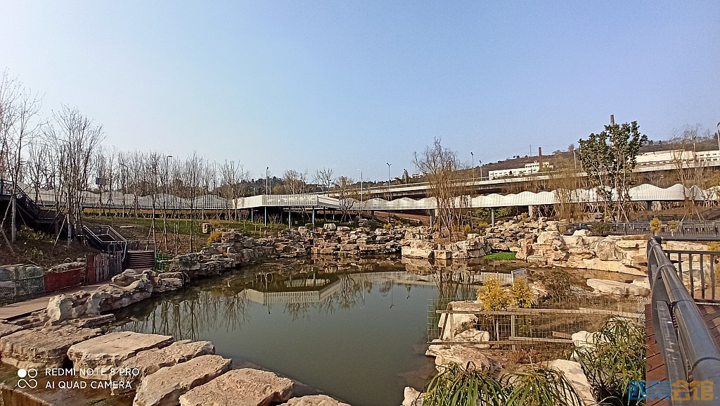 conew_1677417258070.jpg