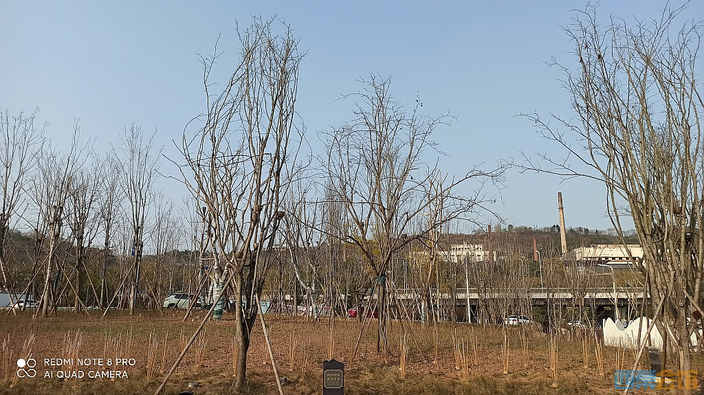 conew_1677417257946.jpg