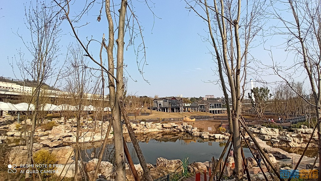 conew_1677417258003.jpg