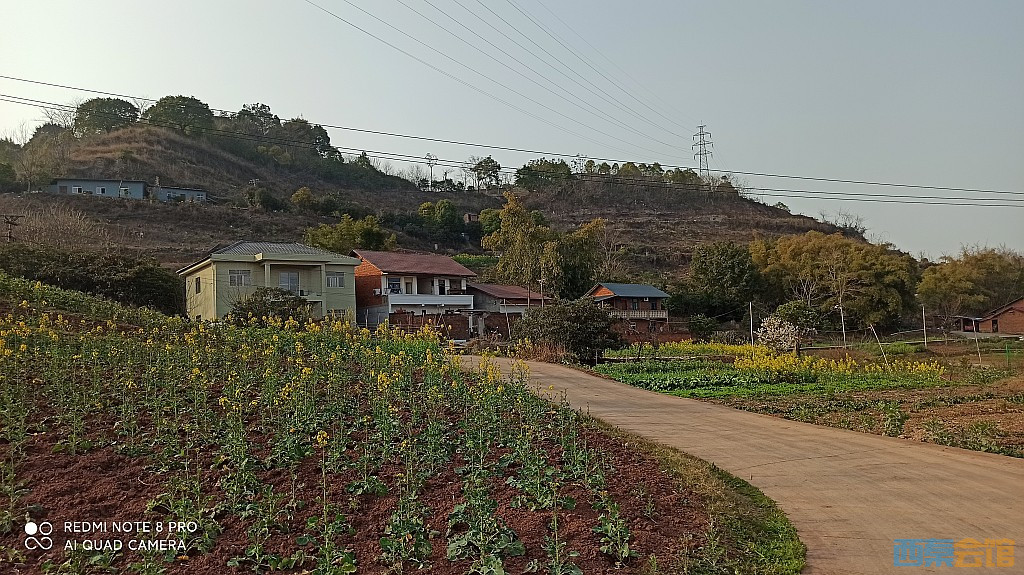 20.jpg